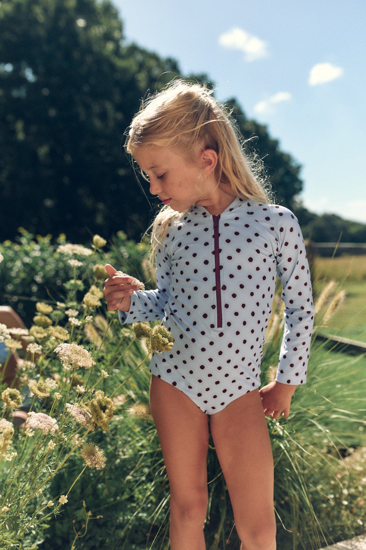 Lil Jet | Blue Polka Fudge