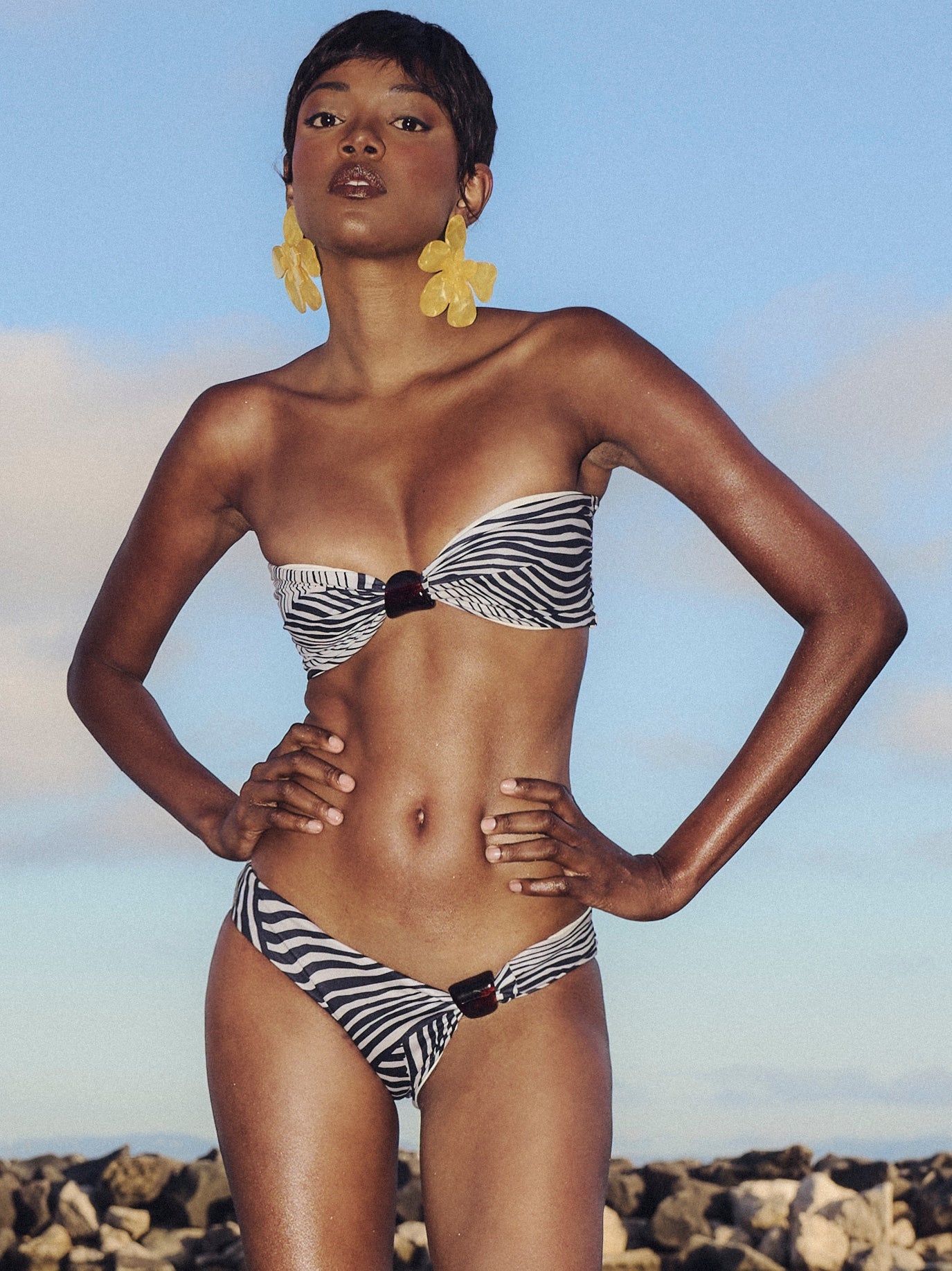 Eli Top | Zebra