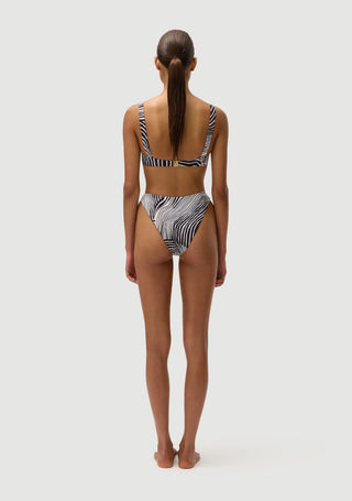 Casanova Top | Zebra