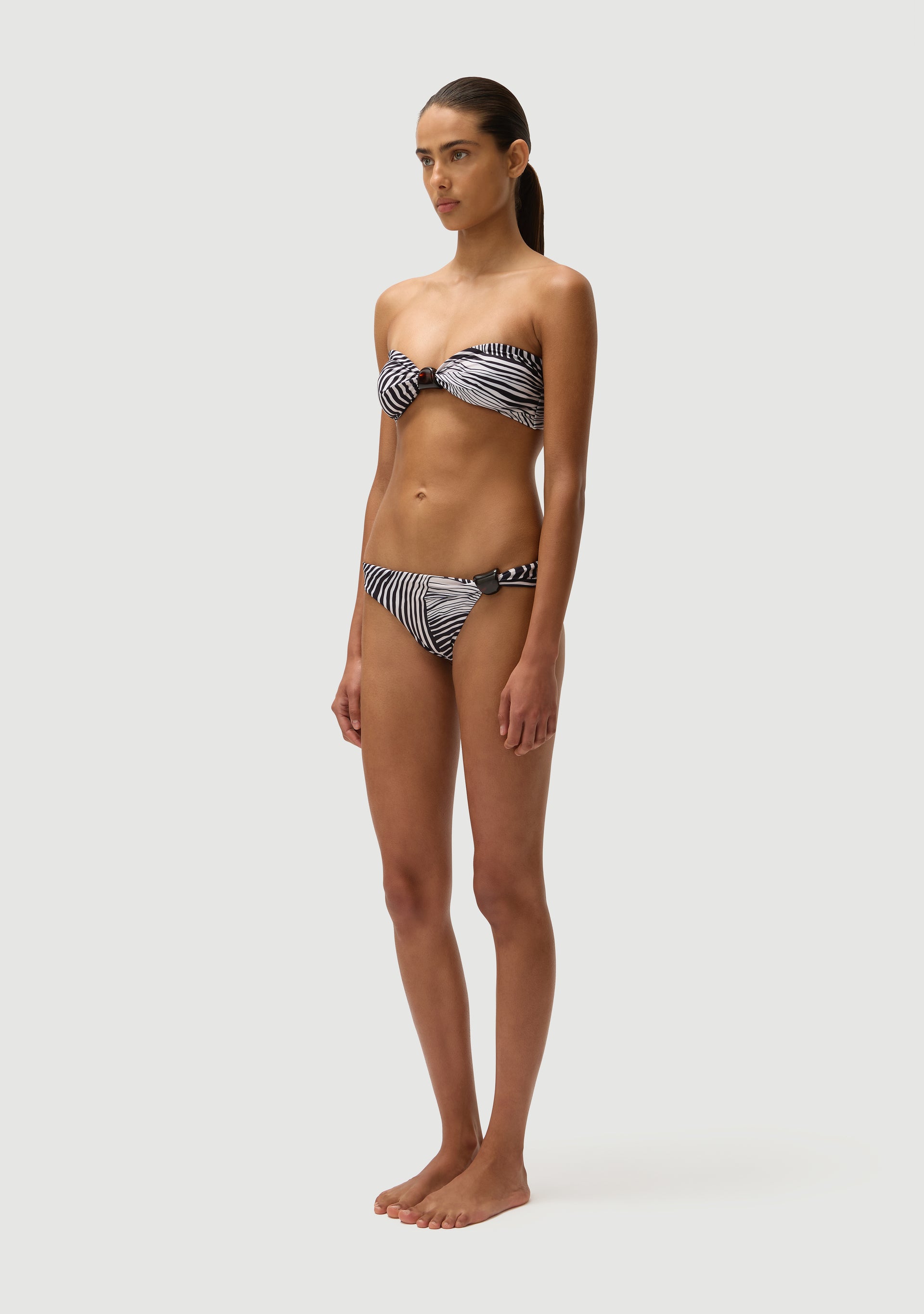 Digby Bottom | Zebra