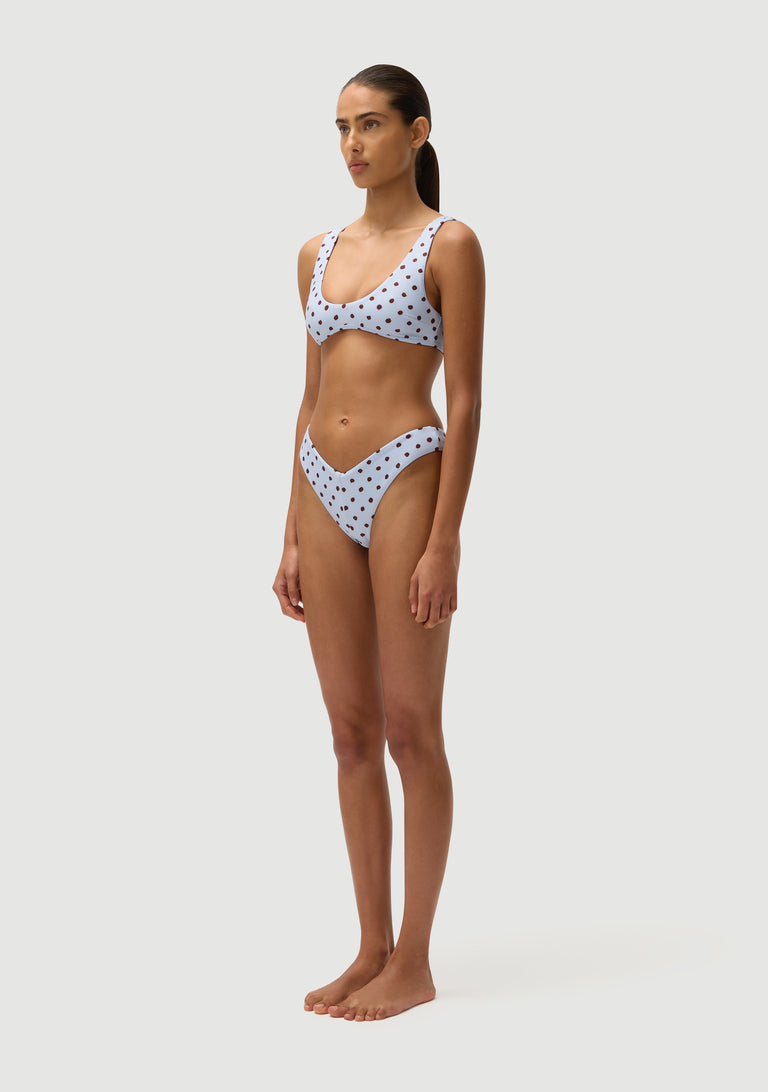 Chad Bottom | Blue Polka Fudge