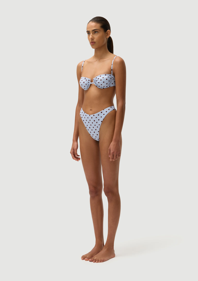 Corey Bottom | Blue Polka Fudge