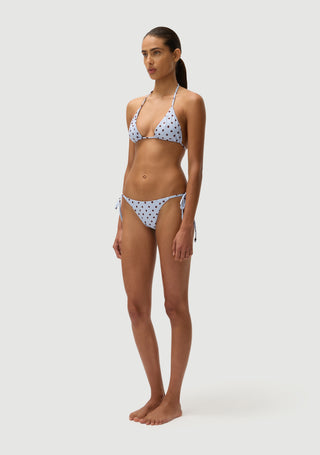 Marcus Bottom | Blue Polka Fudge