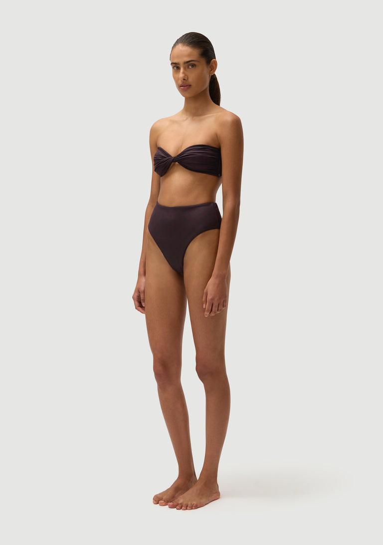 Brian Bottom | Wine Polka Noir