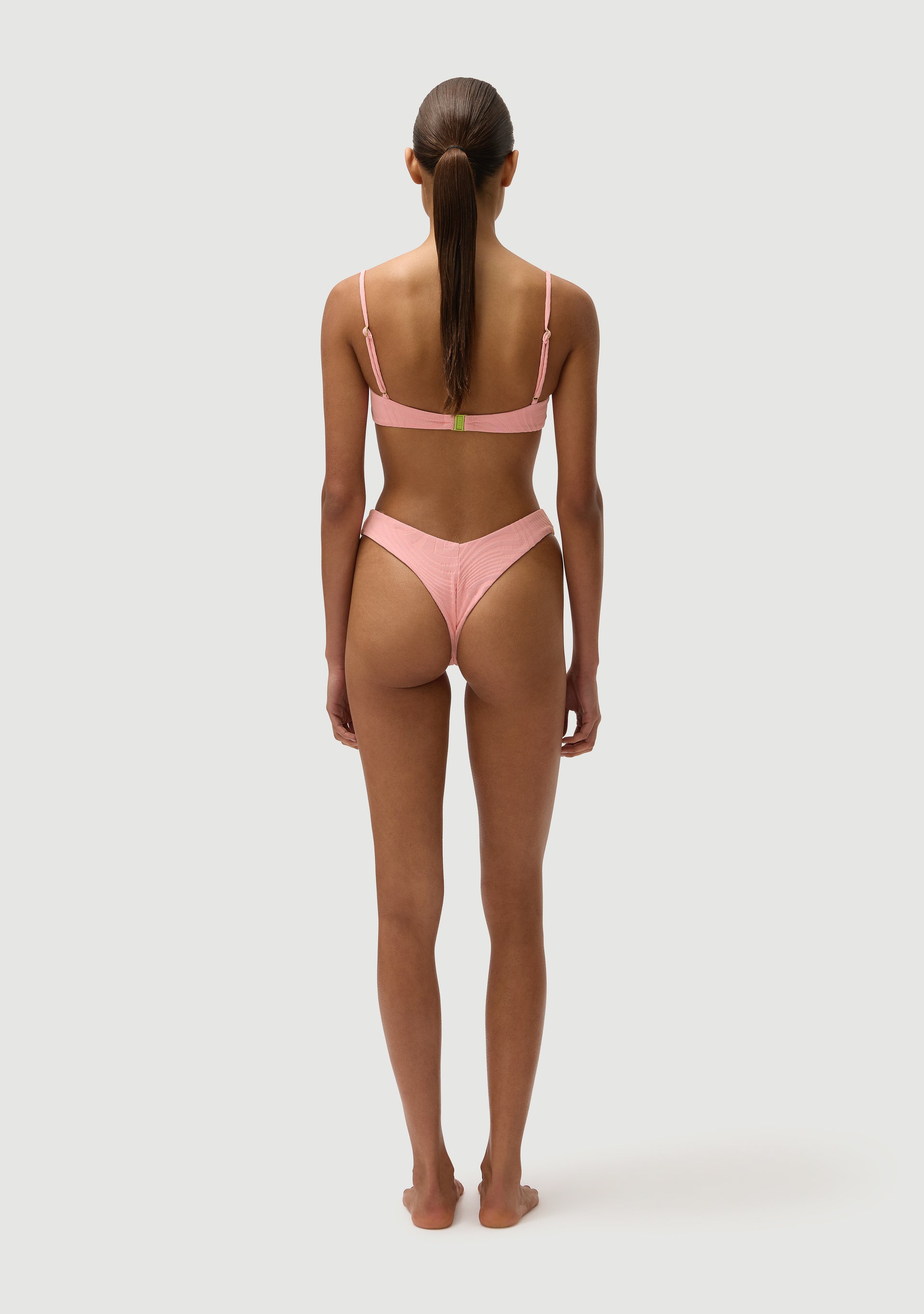 Chad Bottom | Orchid