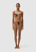 Gabriel Top | Agave