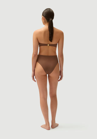 Bernie Top | Pinecone