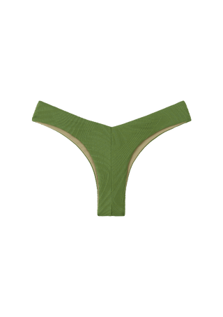 Chad Bottom | Cactus