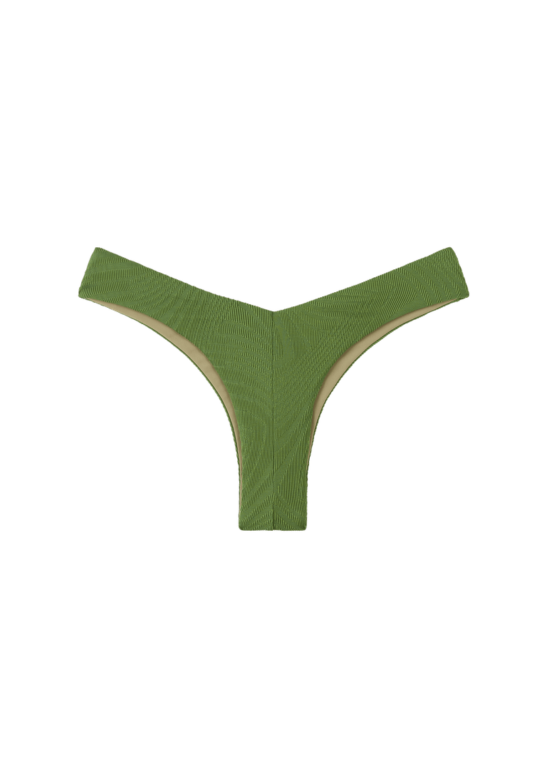 Chad Bottom | Cactus