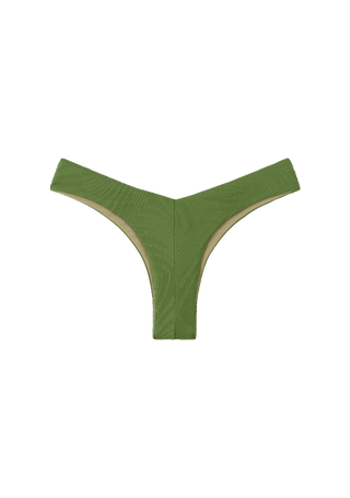 Chad Bottom | Cactus