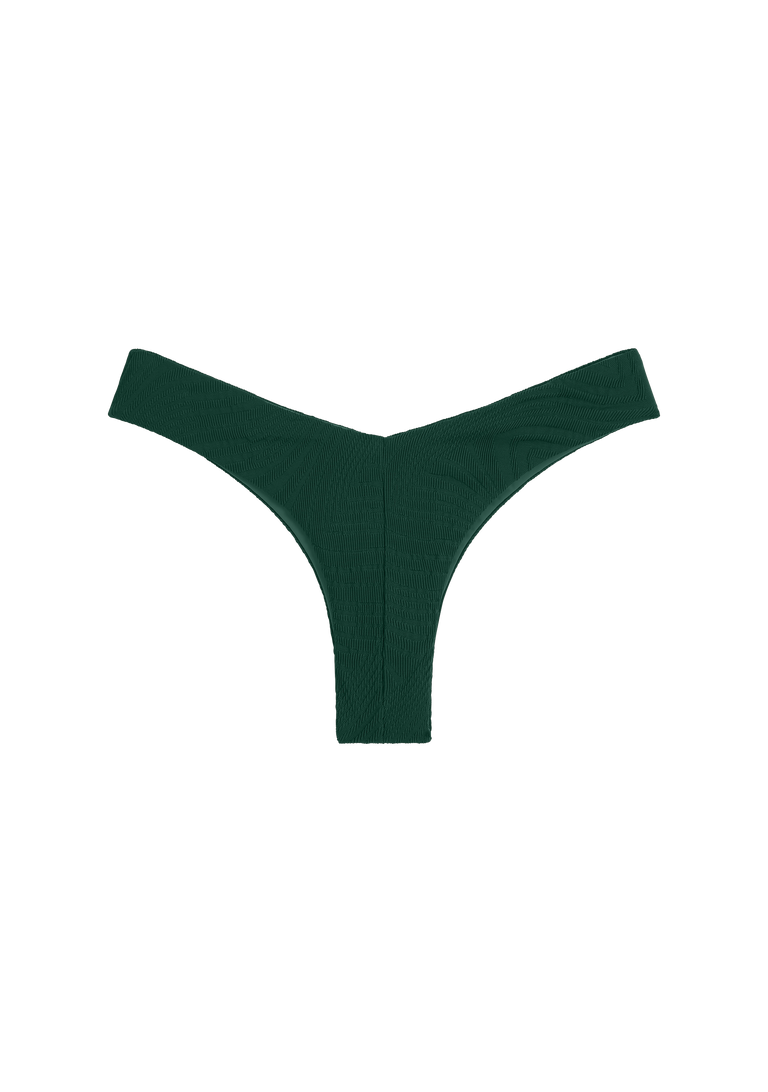 Chad Bottom | Botanical