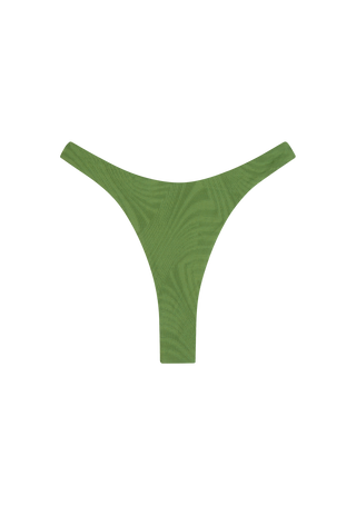 Corey Bottom | Cactus