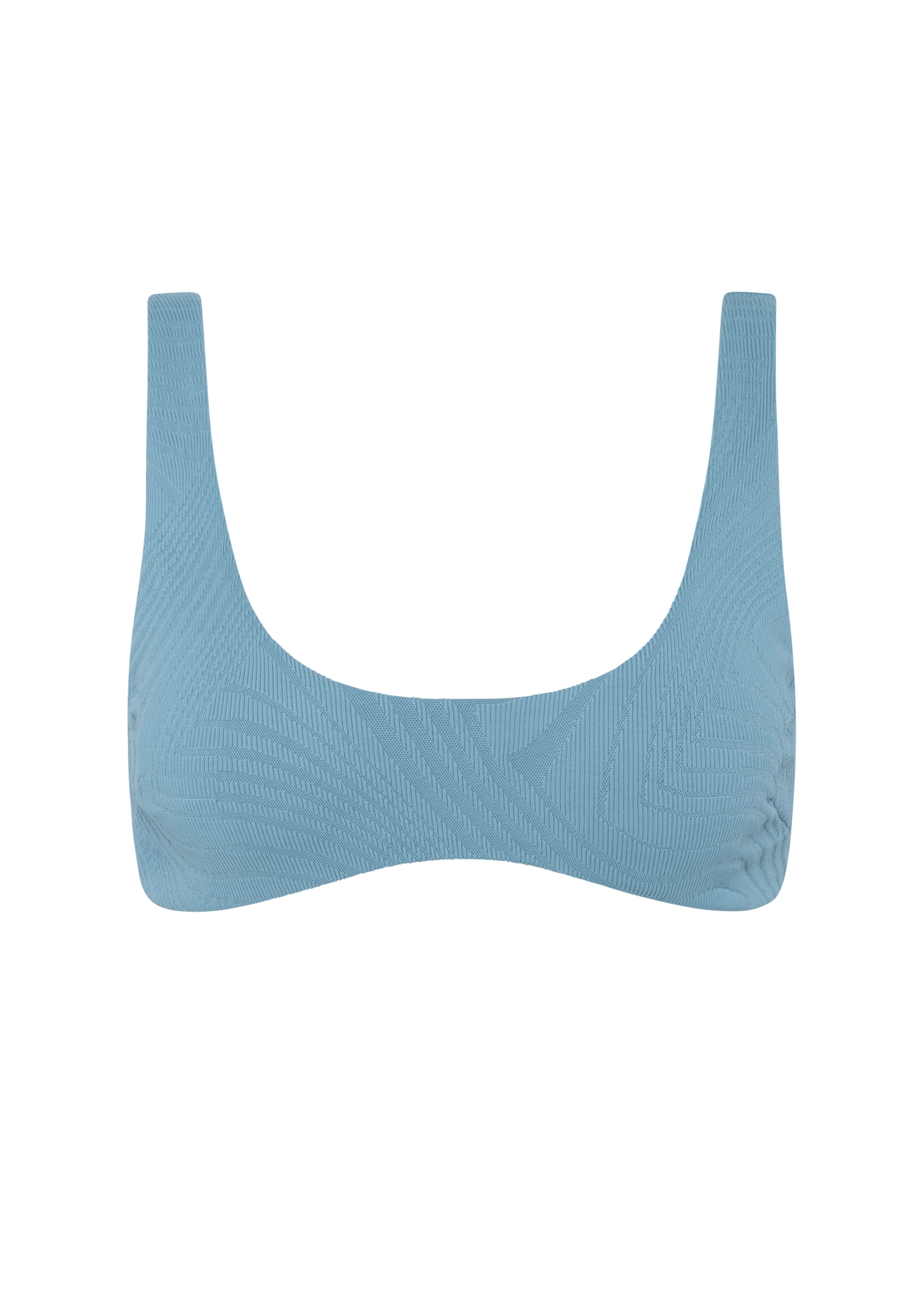 Donald Top | Hydrangea