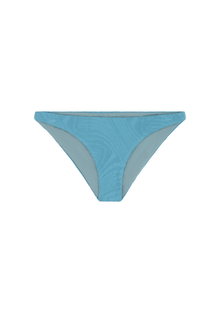 Ricky Bottom | Hydrangea