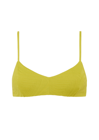 Freddie Top | Kiwi