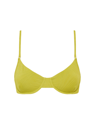 Brad Top | Kiwi