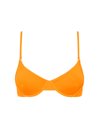 Brad Top | Turmeric